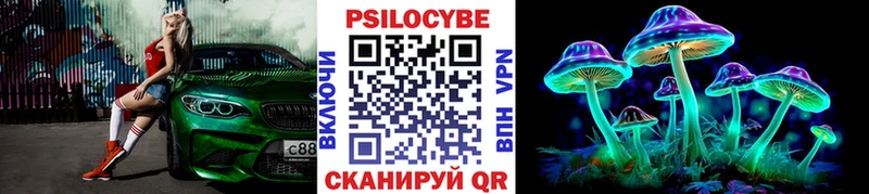 закладки  нарко площадка телеграм  Галлюциногенные грибы Psilocybe  Пермь 
